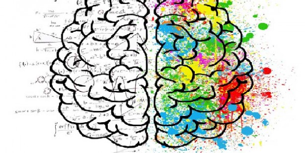 Zekayı açan 5 besin