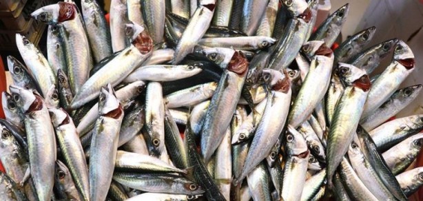 Foto - Zekayı artıran yiyecek ve besinler! Hafızayı geliştiriyor unutkanlığa engel oluyor