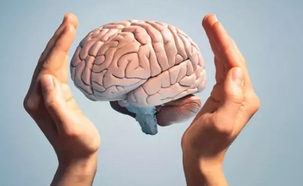 Foto - Zekayı artıran yiyecek ve besinler! Hafızayı geliştiriyor unutkanlığa engel oluyor