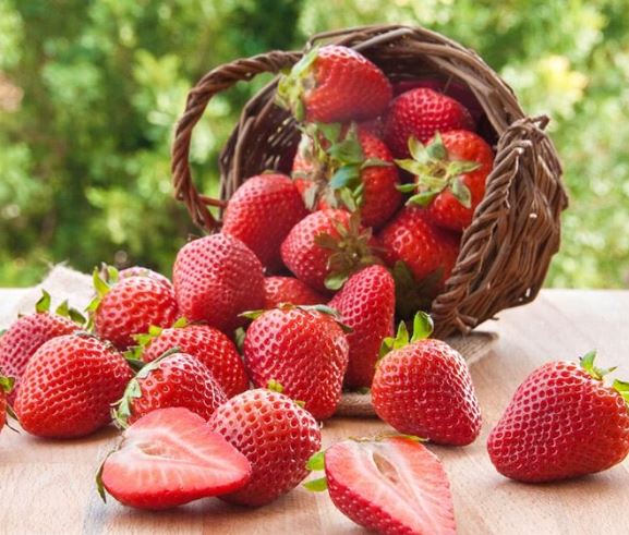 Foto - Zekayı artıran yiyecek ve besinler! Hafızayı geliştiriyor unutkanlığa engel oluyor