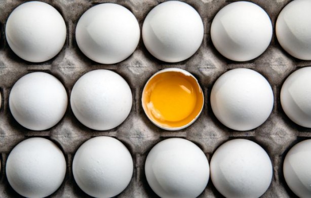 Foto - Zekayı artıran yiyecek ve besinler! Hafızayı geliştiriyor unutkanlığa engel oluyor