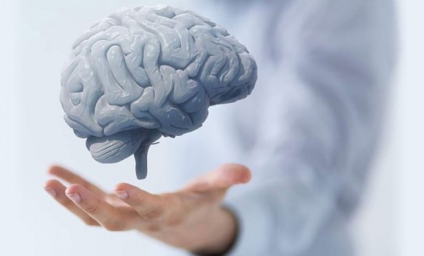 Zekayı artıran yiyecek ve besinler! Hafızayı geliştiriyor unutkanlığa engel oluyor