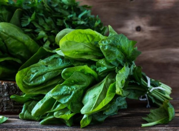 Foto - Zekayı artıran yiyecek ve besinler! Hafızayı geliştiriyor unutkanlığa engel oluyor