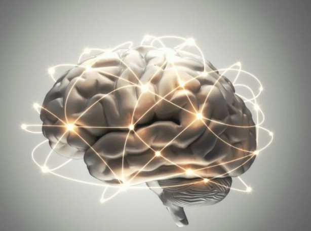 Foto - Zekayı artıran yiyecek ve besinler! Hafızayı geliştiriyor unutkanlığa engel oluyor