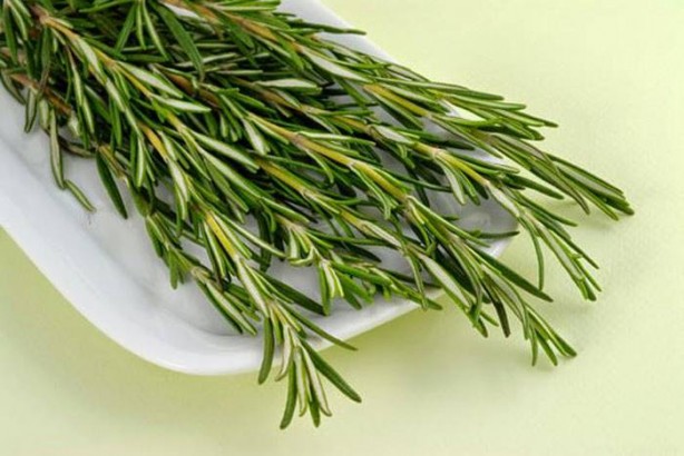 Foto - Zekayı arttıran gıdalar