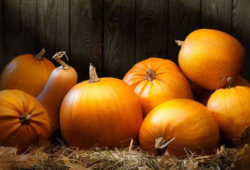 Foto - Zekayı geliştirip prostattan koruyor! Bir avuç yemek yeterli