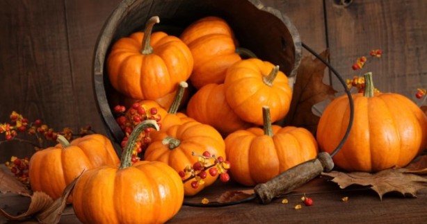 Foto - Zekayı geliştirip prostattan koruyor! Bir avuç yemek yeterli