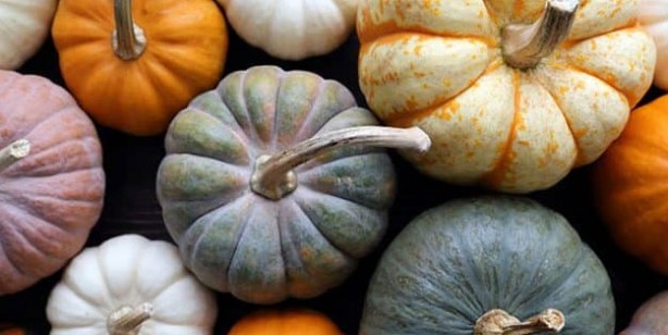 Foto - Zekayı geliştirip prostattan koruyor! Bir avuç yemek yeterli