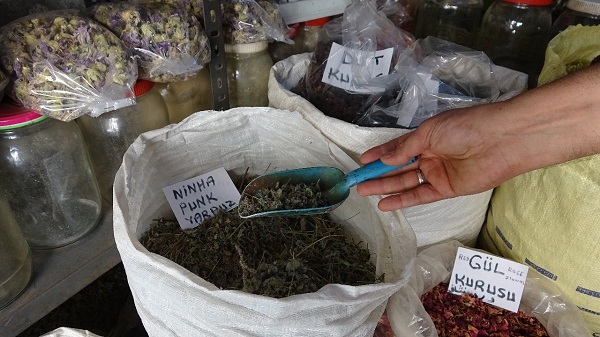 Foto - Zencefil kullananlar dikkat!