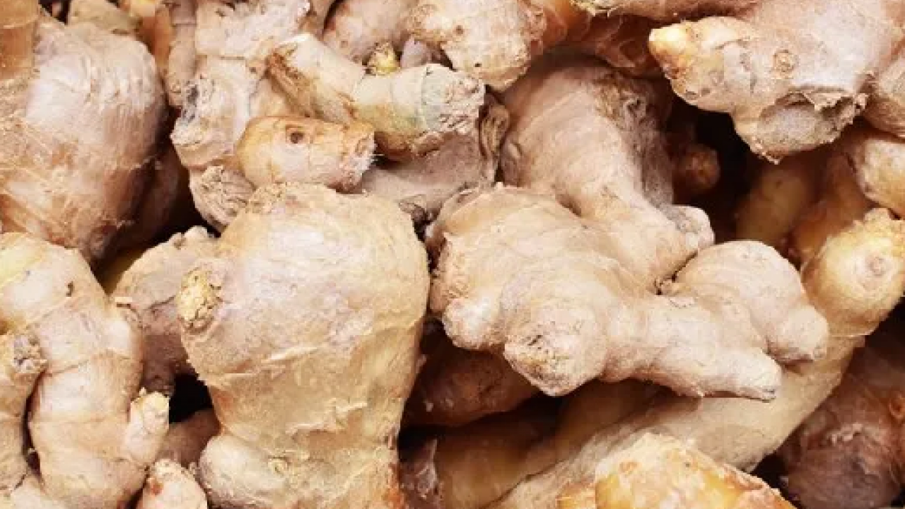 Foto - Zencefili böyle tüketmek iltihabı söküp atıyor! İşte tüm organları yenileyen o tarif…