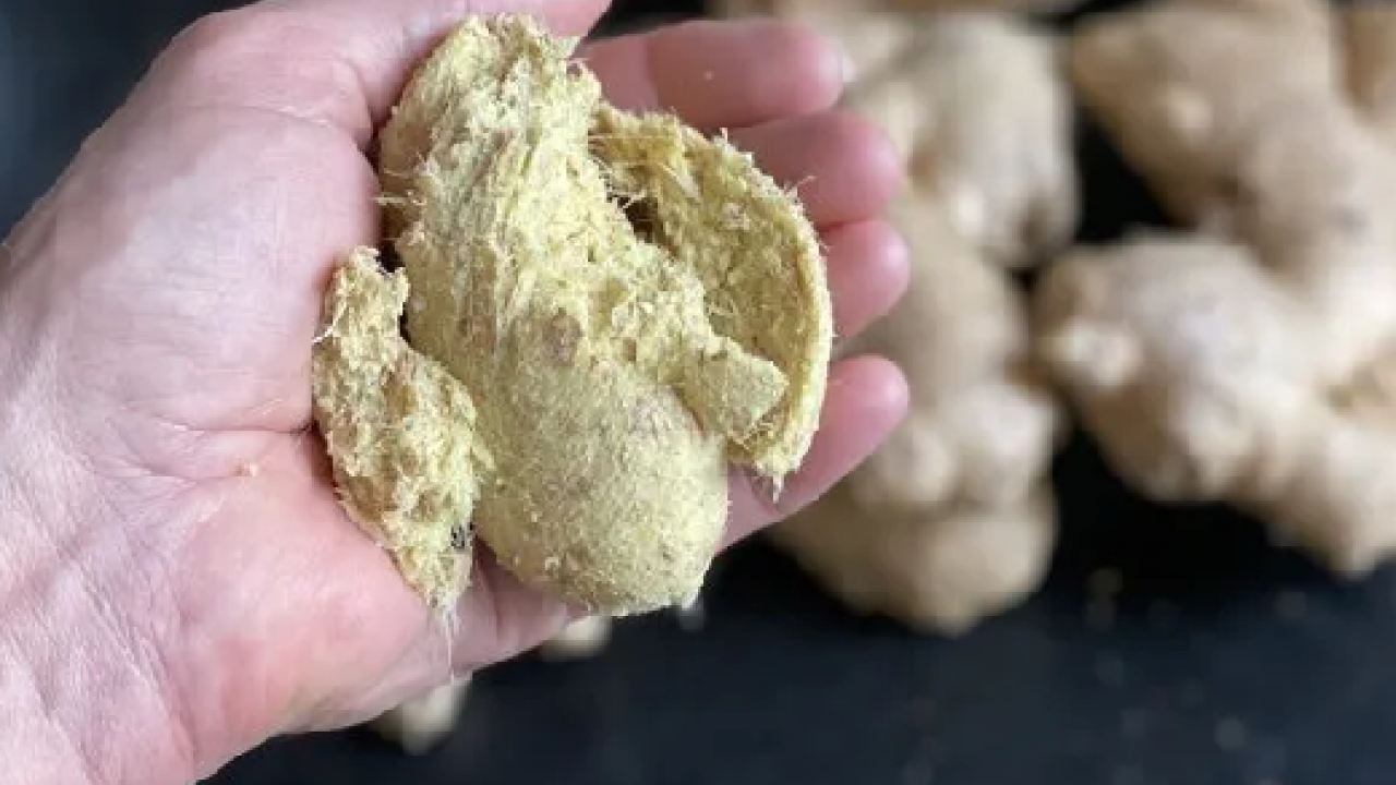 Foto - Zencefili böyle tüketmek iltihabı söküp atıyor! İşte tüm organları yenileyen o tarif…