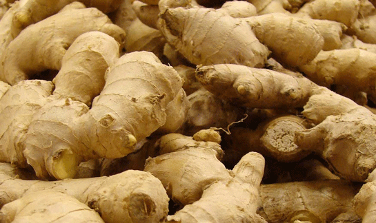 Foto - Zencefilin öyle bir faydası var ki...