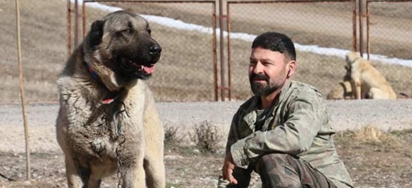 Foto - Zengin Arapların bile satın alamadığı tek hayvan!