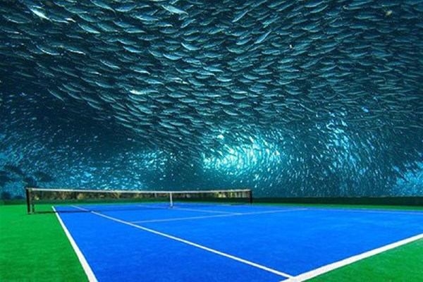 Foto - Zenginlik insana bakın neler yaptırıyor