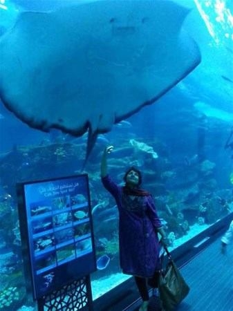 Foto - Zenginlik insana bakın neler yaptırıyor