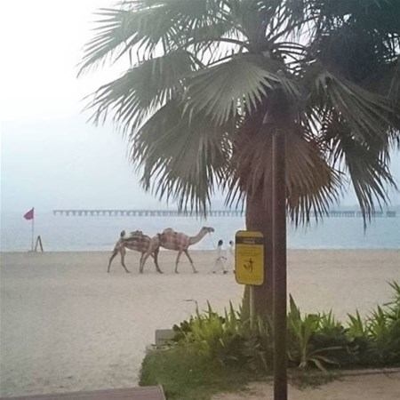 Foto - Zenginlik insana bakın neler yaptırıyor