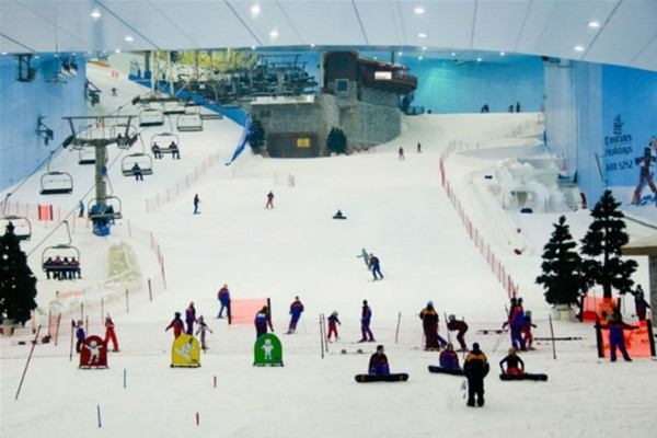 Foto - Zenginlik insana bakın neler yaptırıyor