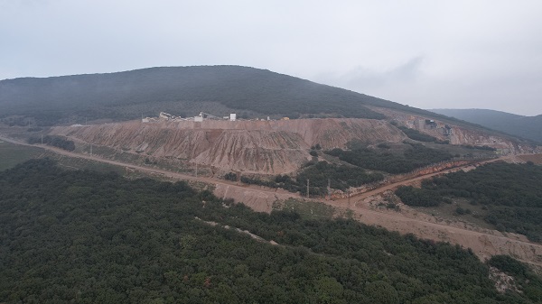 Foto - Zeytin ağaçları kaderlerine terk edildi