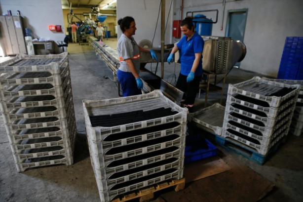 Foto - Zeytin atıklarından mangal kömürü üretiyorlar