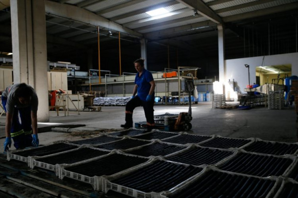 Foto - Zeytin atıklarından mangal kömürü üretiyorlar