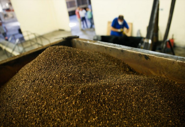 Foto - Zeytin atıklarından mangal kömürü üretiyorlar