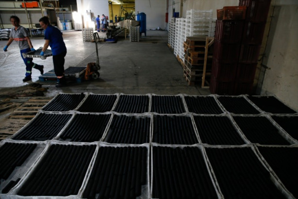 Foto - Zeytin atıklarından mangal kömürü üretiyorlar