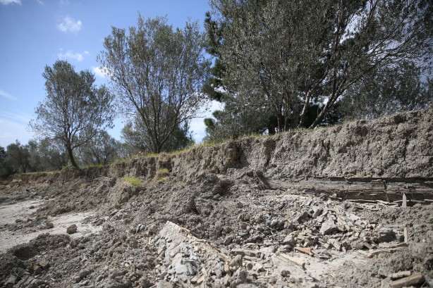 Foto - Zeytin bahçesindeki görüntü depremin boyutunu gözler önüne serdi