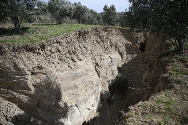 Foto - Zeytin bahçesindeki görüntü depremin boyutunu gözler önüne serdi