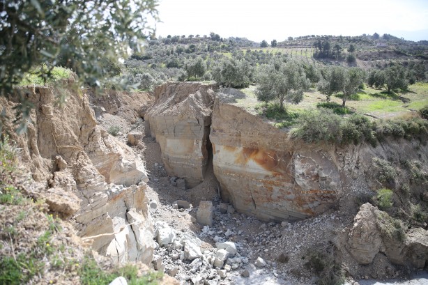 Zeytin bahçesindeki görüntü depremin boyutunu gözler önüne serdi