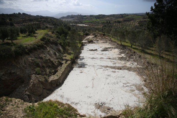 Foto - Zeytin bahçesindeki görüntü depremin boyutunu gözler önüne serdi