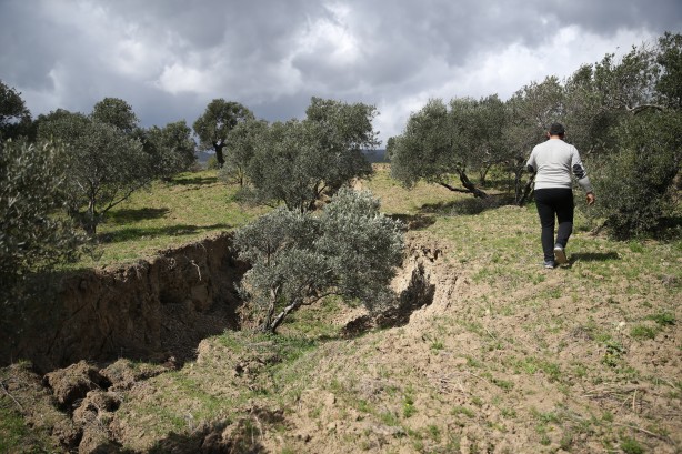 Foto - Zeytin bahçesindeki görüntü depremin boyutunu gözler önüne serdi