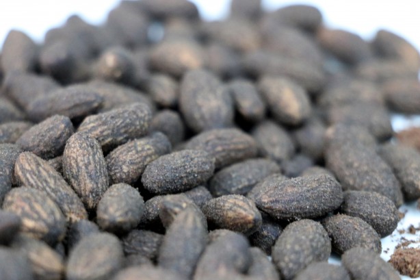 Foto - Zeytin çekirdeğinden Türk kahvesi üretildi