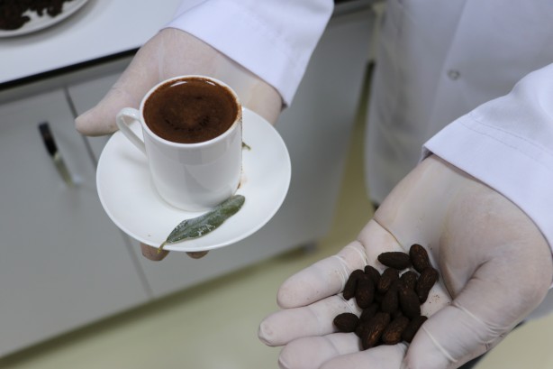 Foto - Zeytin çekirdeğinden Türk kahvesi üretildi