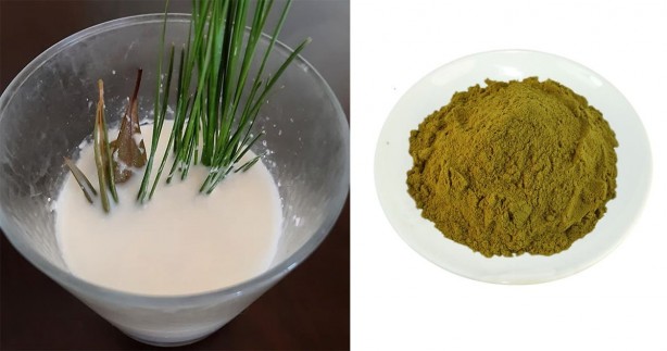 Zeytin yaprağı deyip geçmeyin: Gerçekler öyle bir ağır bastı ki duyan şaştı kaldı, dudak uçuklattı! Yapın