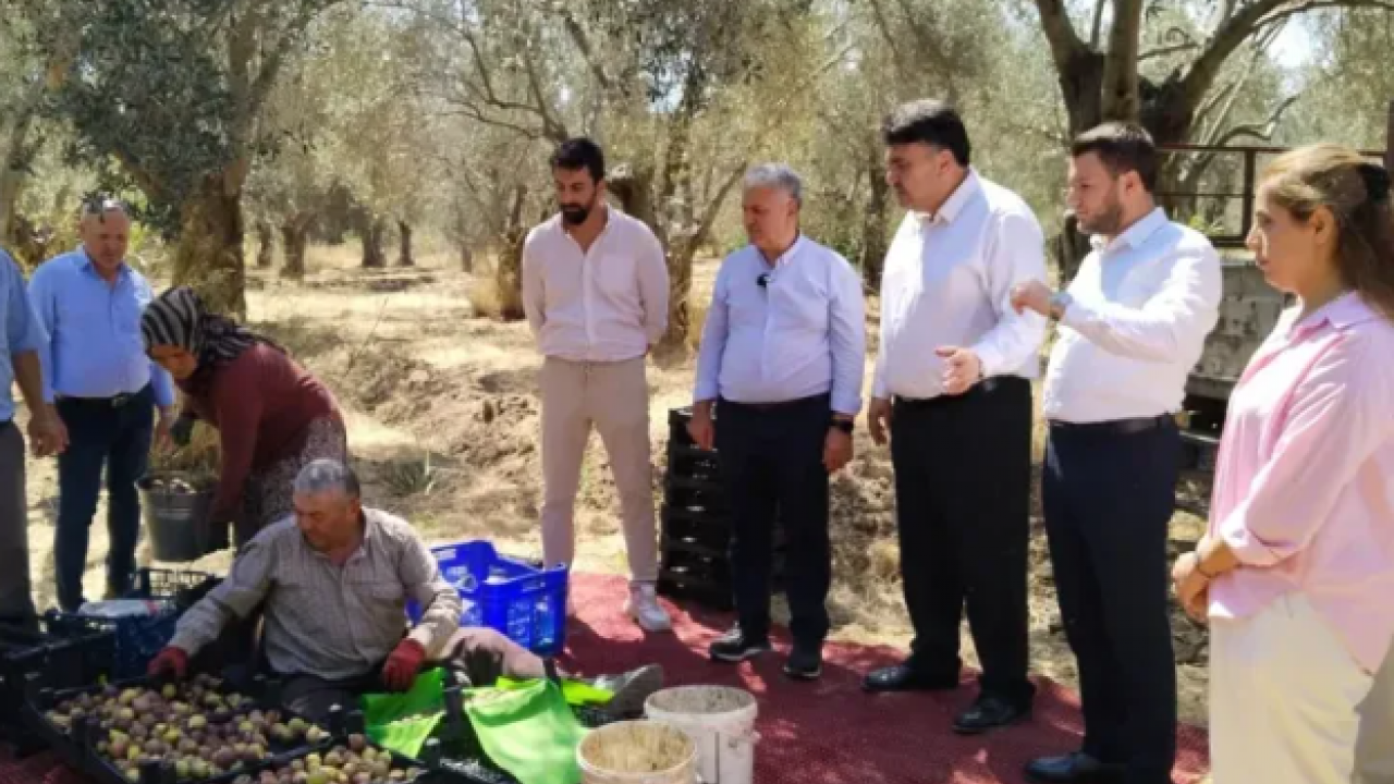 Foto - Zeytinlikler arasında bir ballı lezzet