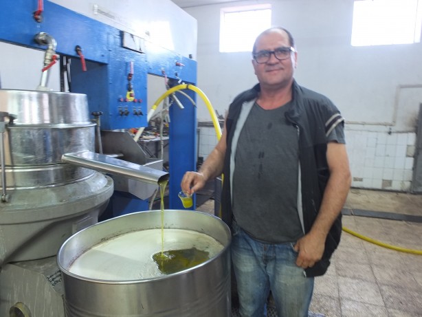 Foto - Zeytinyağı için çok kritik uyarı! Evinizde varsa hemen bunu yapın