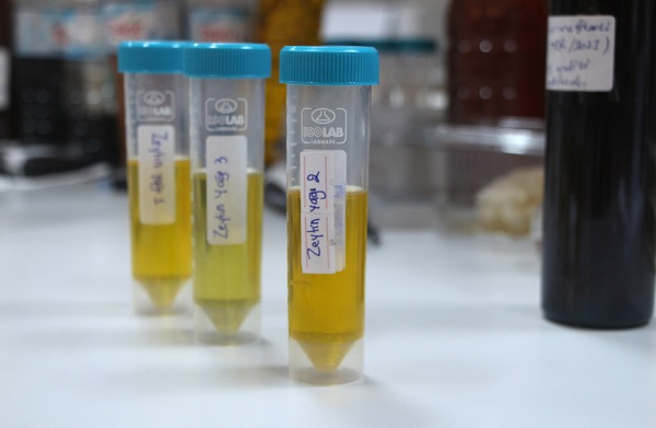 Foto - Zeytinyağına güven azaldı! Zeytinyağının sahte olup olmadığı nasıl anlaşılır?