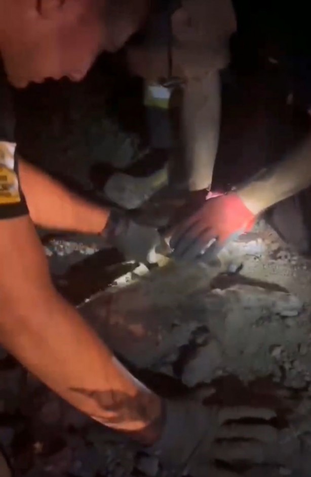 Foto - Ziftte mahsur kalan 2 yavru köpeği itfaiye kurtardı