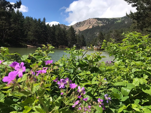 Foto - Zigana'nın nazar boncuğu: Limni