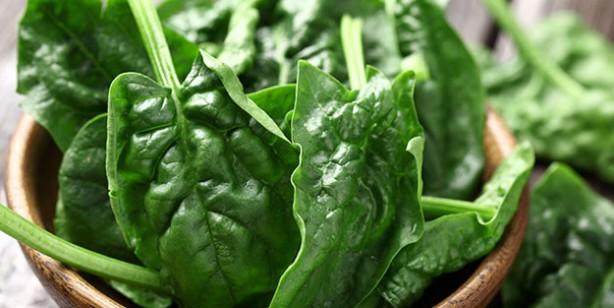 Foto - Zihin açıcı hafıza güçlendirici gıdalar neler? En büyük hafıza düşmanı ve dostu besinler! İşte Hafıza güçlendirici takviyeler