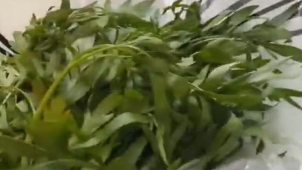 Foto - Zincir marketten maydanoz alan kadın, poşeti açınca ne olduğunu anlayamadı! Siz bilmeden sakın yemeyin