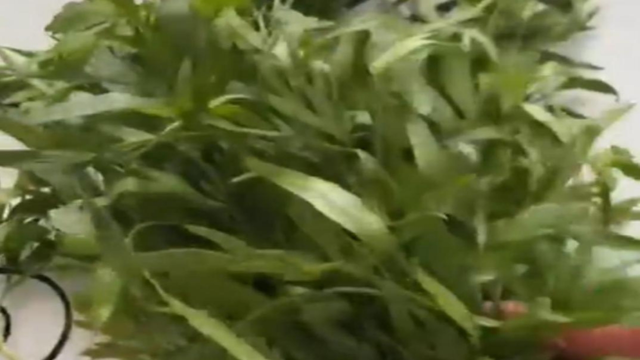 Foto - Zincir marketten maydanoz alan kadın, poşeti açınca ne olduğunu anlayamadı! Siz bilmeden sakın yemeyin