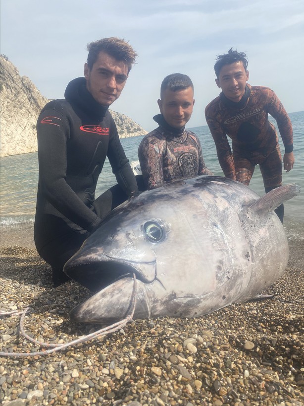 Foto - Zıpkınla 150 kilogramlık orkinos avlandı! İşte o görüntüler