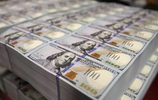 Foto - Ziraat Bankası Genel Müdürü dolar kurunun kaç para olacağını açıkladı! Beklenmedik rakam