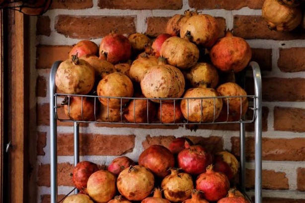 Foto - ‘Zivzik’ tam bir şifa deposu! Günde en az 1 bardak tüketirseniz bakın ne olur