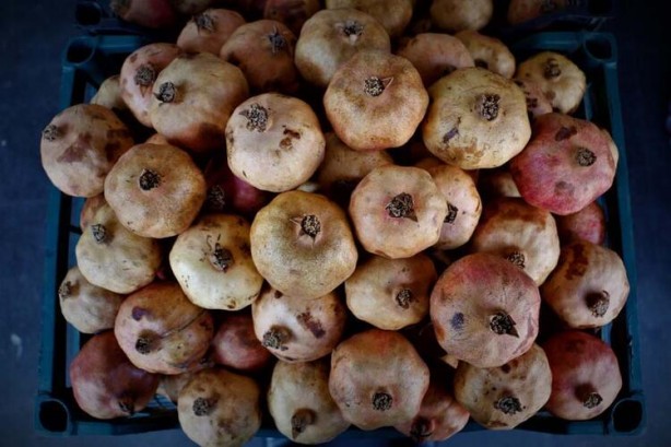 Foto - ‘Zivzik’ tam bir şifa deposu! Günde en az 1 bardak tüketirseniz bakın ne olur