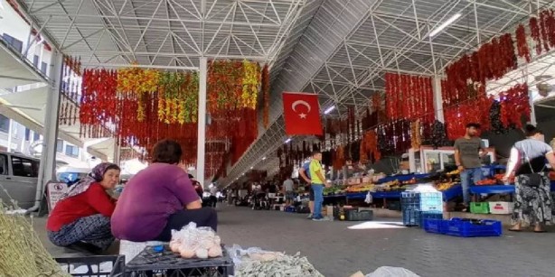 Foto - Ziyan olmasın diye yapmaya başladı, şimdi telefonu susmuyor! Öyle bir fikir buldu ki çuvalla para kazanıyor