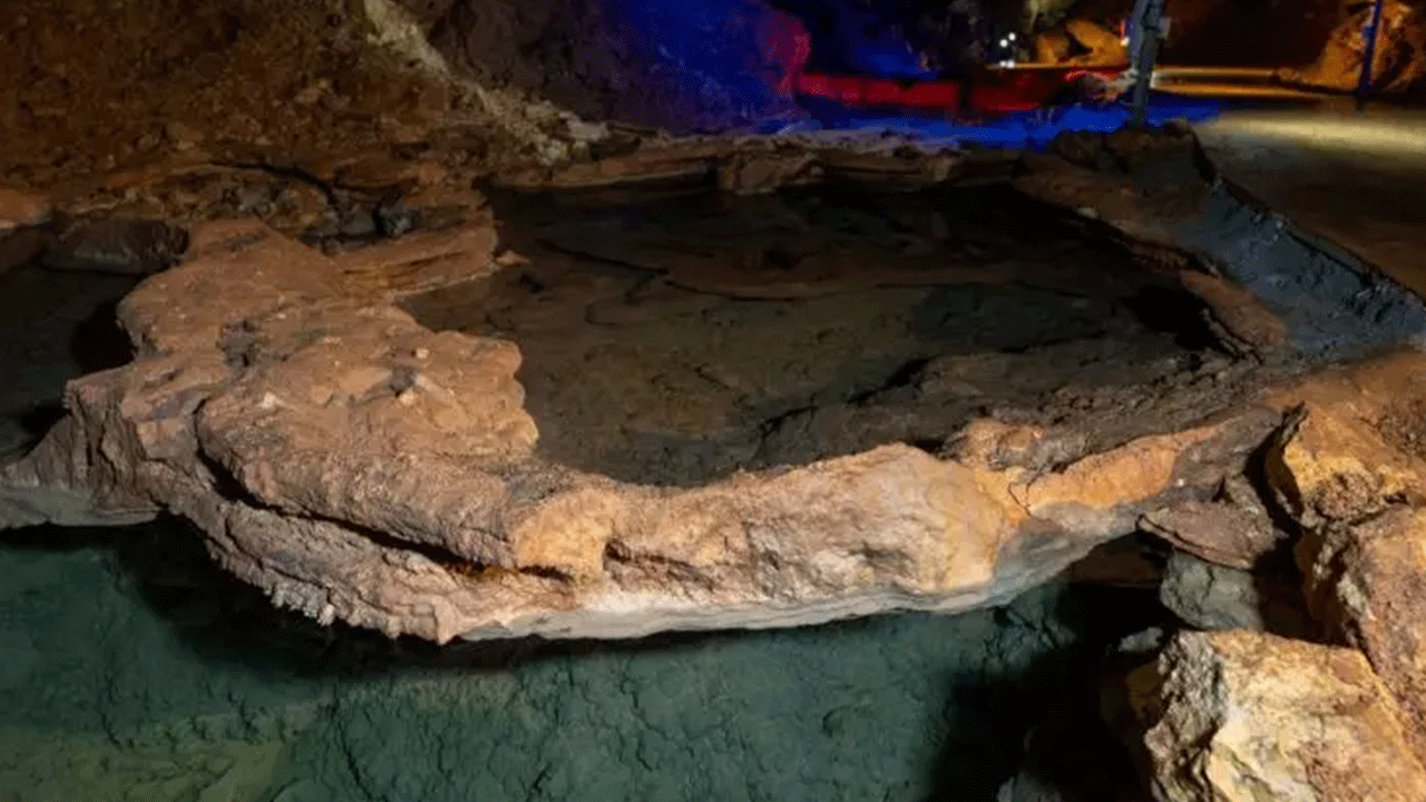 Foto - Ziyaretçilere görsel şölen sunuyor! Onbinler akın akın görmeye geliyor!