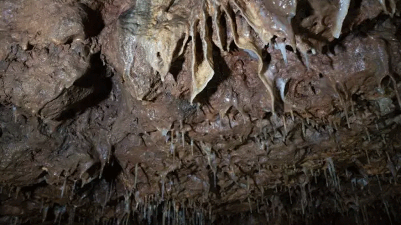 Foto - Ziyaretçilere görsel şölen sunuyor! Onbinler akın akın görmeye geliyor!