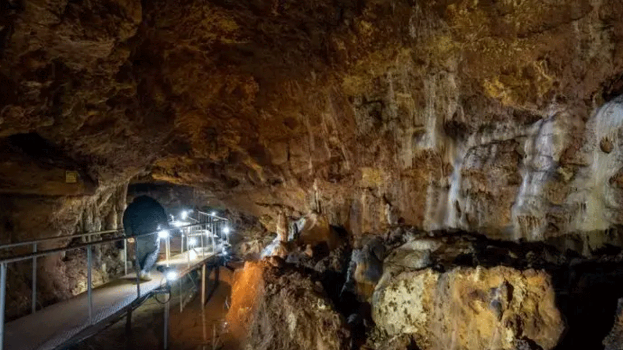 Foto - Ziyaretçilere görsel şölen sunuyor! Onbinler akın akın görmeye geliyor!